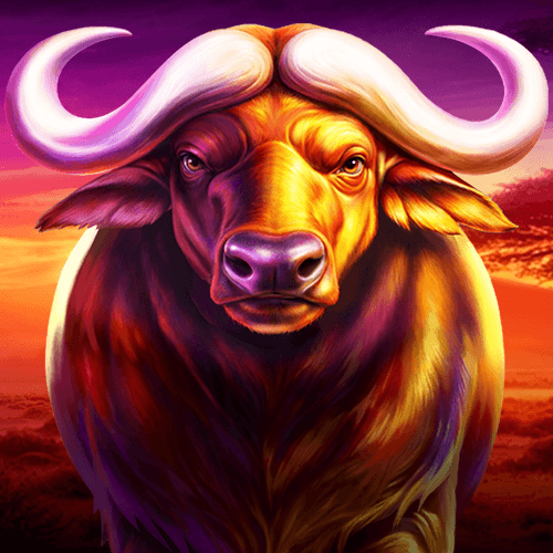AFRICAN BUFFALO