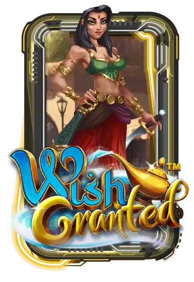 Wish Granted