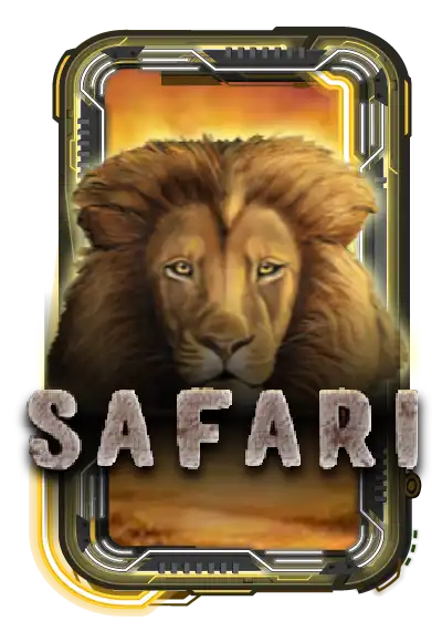 Safari