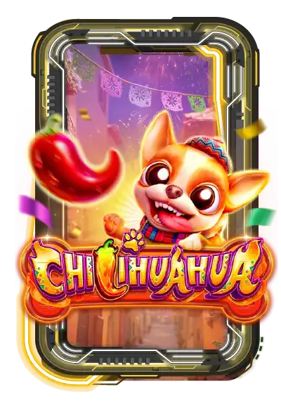 Chillihuahua