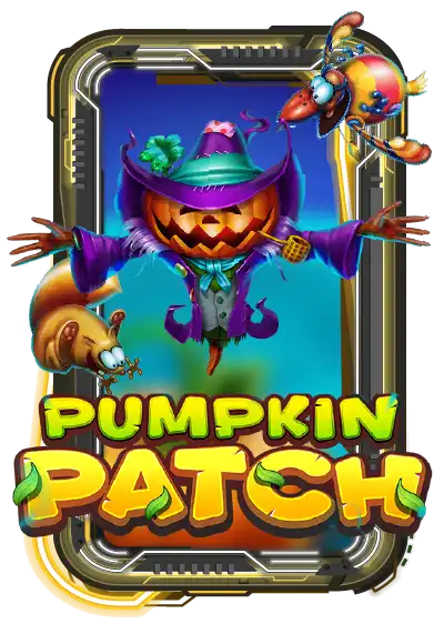 Pumpkin Patch