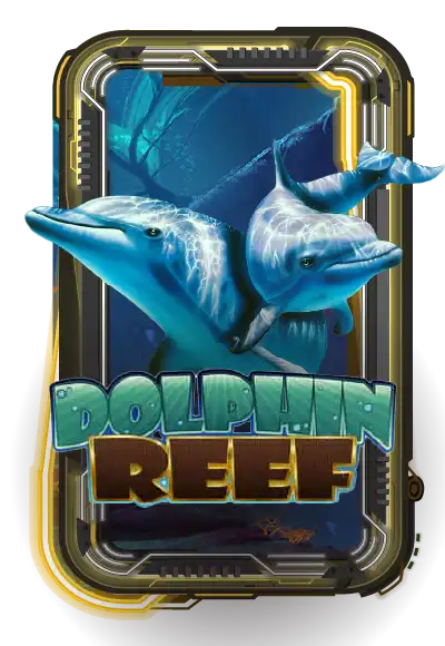 Dolphin Reef