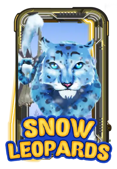 Snow Leopards