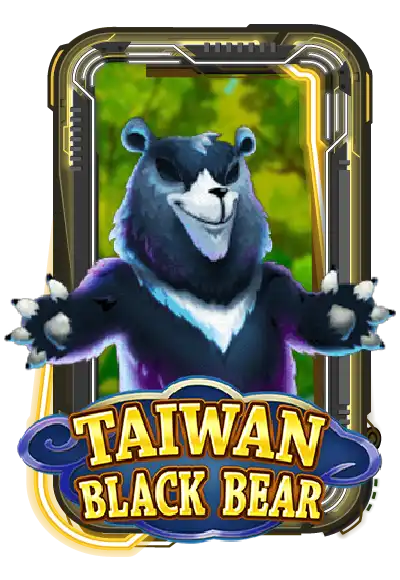 Taiwan Black Bear