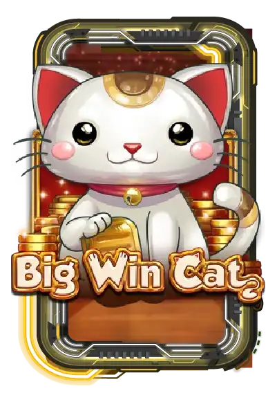 Big Win Cat