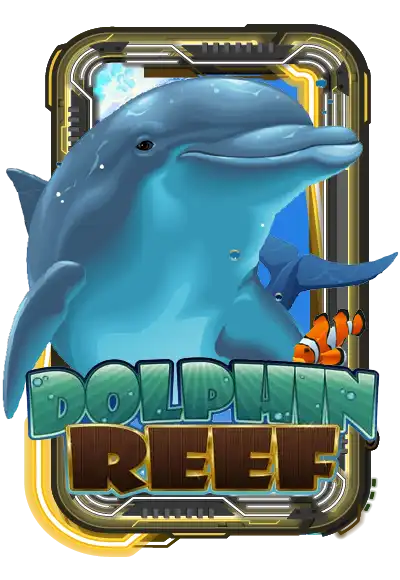 Dolphin Reef