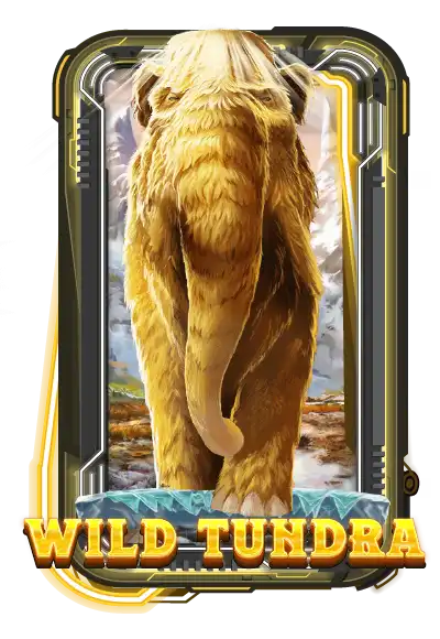 Wild Tundra