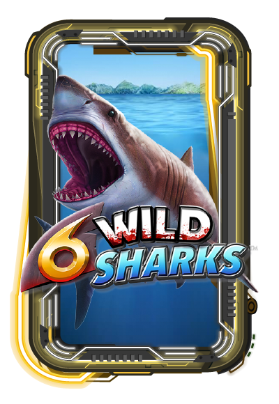 6 Wild Sharks
