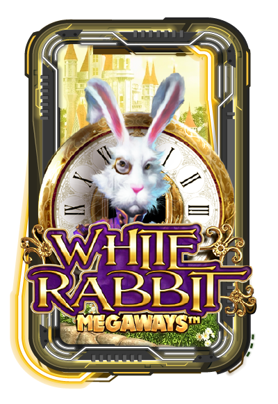 White Rabbit