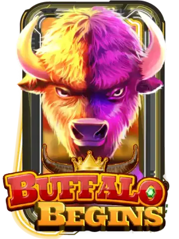 Buffalo Begins