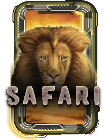 Safari