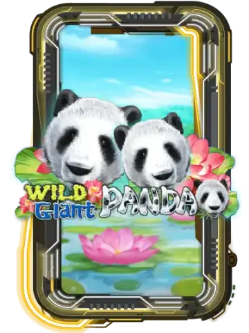 Wild Giant Panda