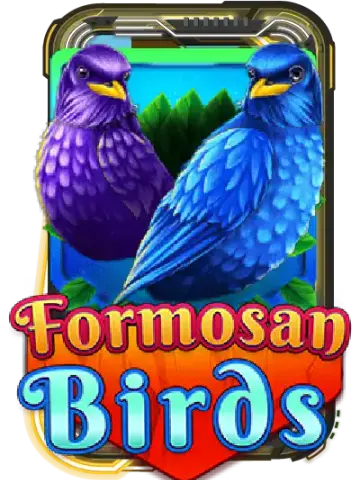 Formosan Birds