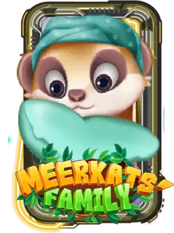 Meerkats' Family
