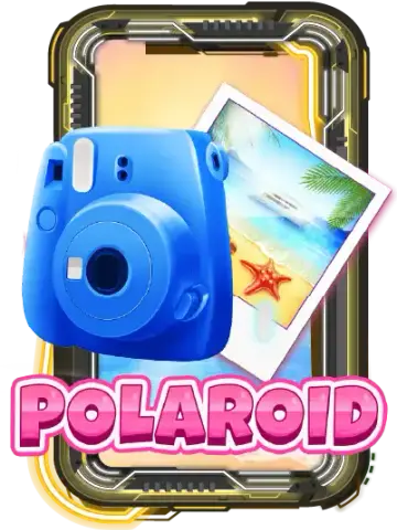 Polaroid