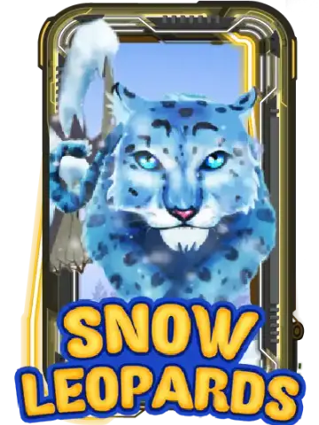 Snow Leopards