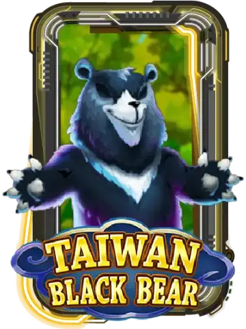 Taiwan Black Bear