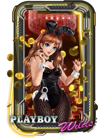 Playboy Wilds
