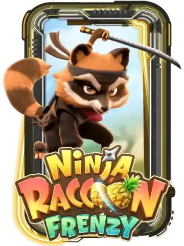 Ninja Raccoon Frenzy