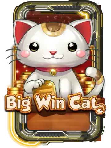 Big Win Cat
