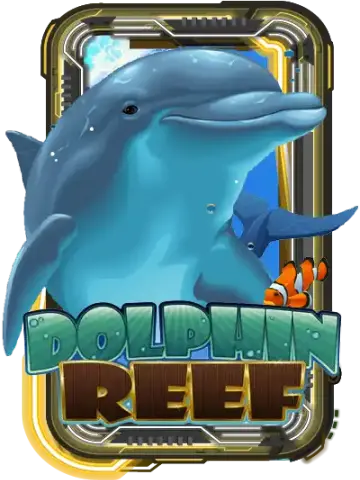 Dolphin Reef