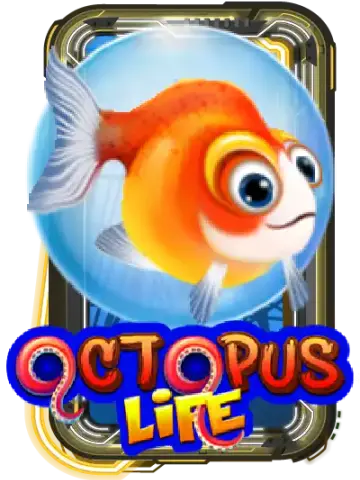 Octopus Life