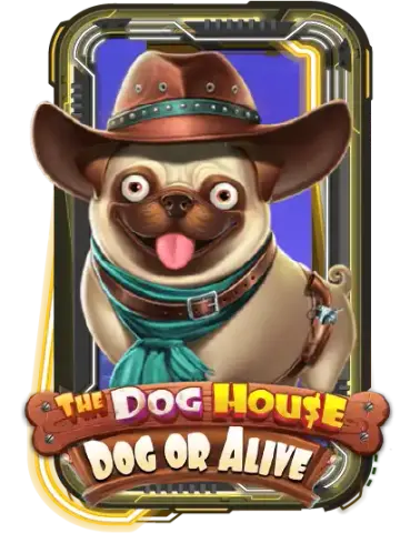 The Dog House - Dog or Alive