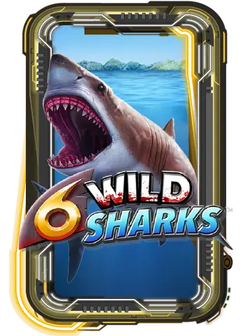 6 Wild Sharks