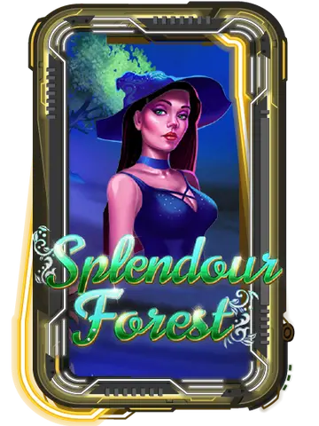 Splendour Forest