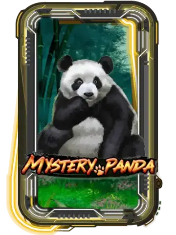 Mystery Panda