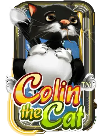 Colin the Cat