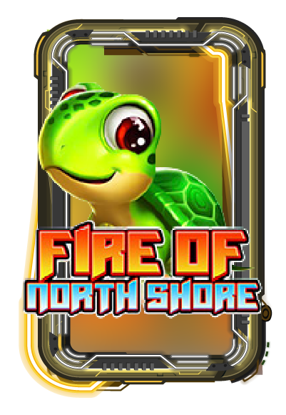 Fire of North shore