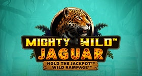Mighty Wild Jaguar